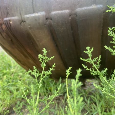 中联重科ZE80E-1履带式挖掘机