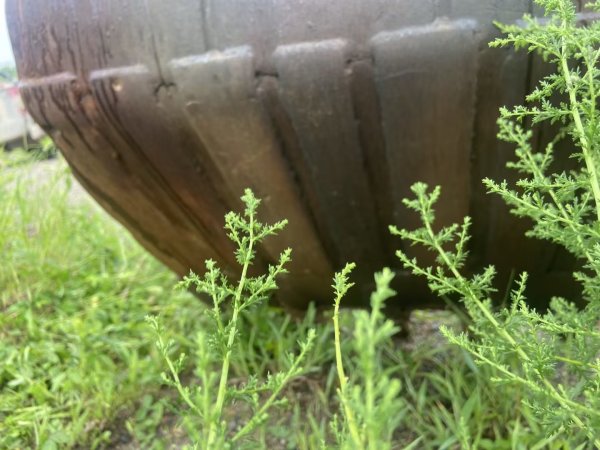 中聯(lián)重科ZE80E-1履帶式挖掘機(jī)