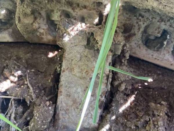 小松PC60履帶式挖掘機(jī)