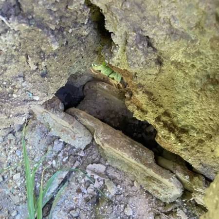 小松PC60履带式挖掘机