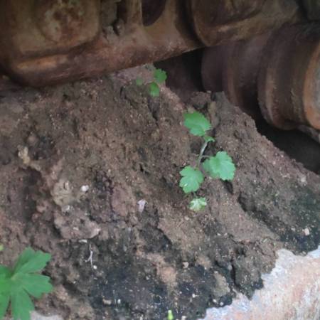 现代R225-7履带式挖掘机