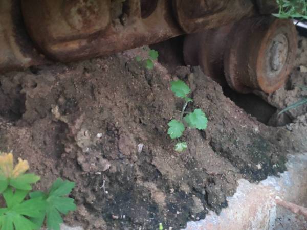 現(xiàn)代R225-7履帶式挖掘機(jī)