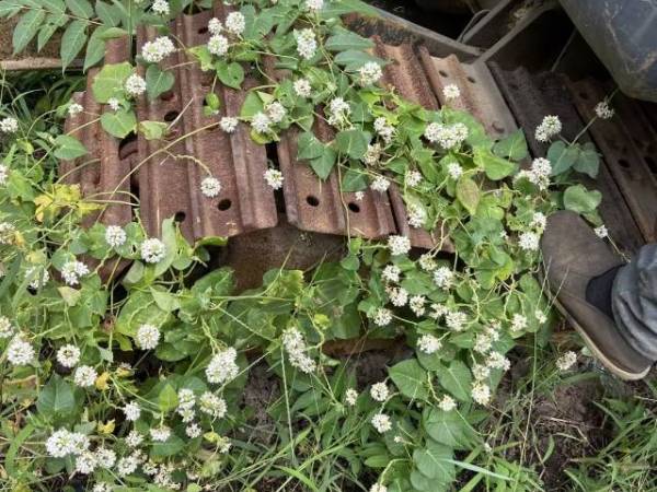 柳工CLG906C履帶式挖掘機(jī)