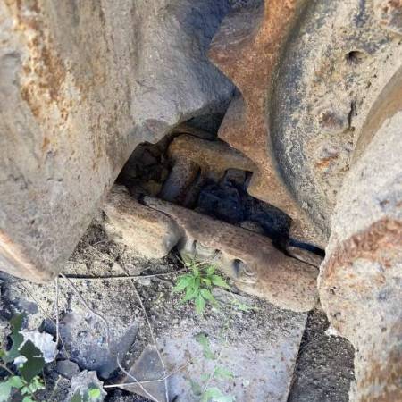 雷沃重工FR360-7履带式挖掘机