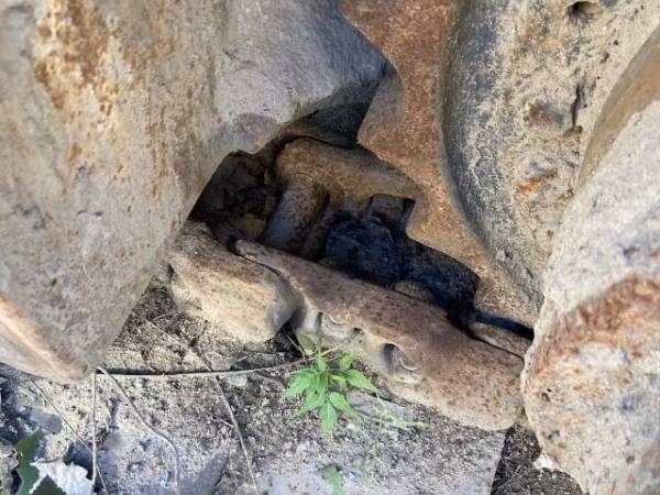 雷沃重工FR360-7履帶式挖掘機