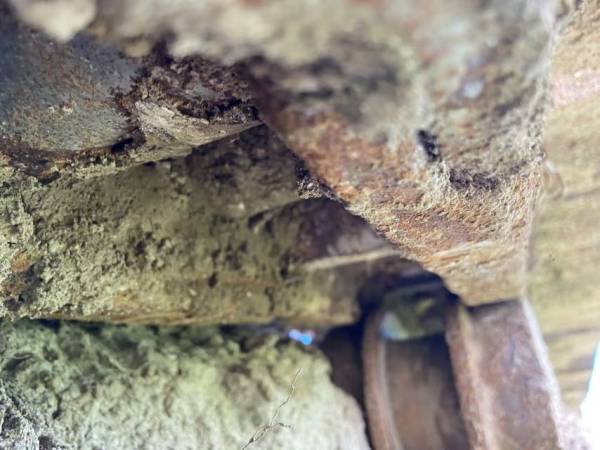 山東臨工LG6250履帶式挖掘機