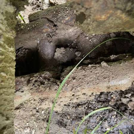 山东临工LG6250履带式挖掘机