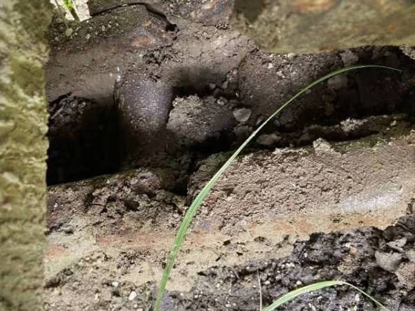 山東臨工LG6250履帶式挖掘機