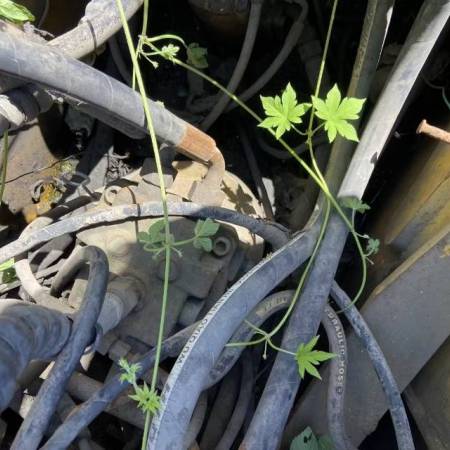 玉柴YC135-8履带式挖掘机