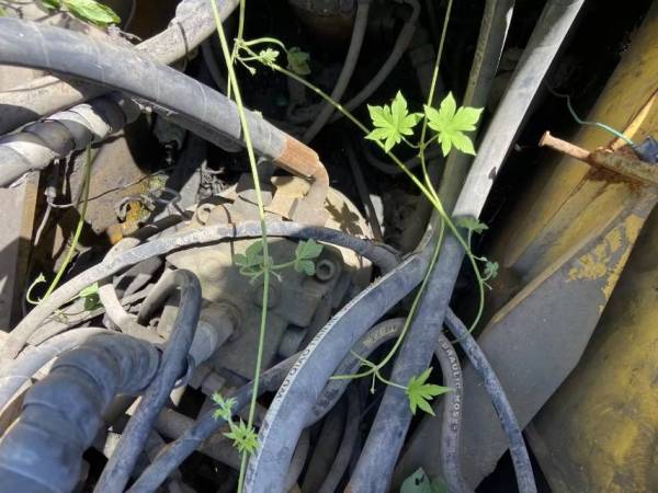 玉柴YC135-8履帶式挖掘機(jī)