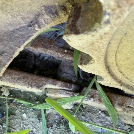 久保田KX-183履带式挖掘机