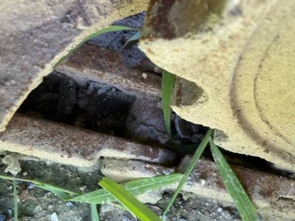 久保田KX-183履帶式挖掘機(jī)