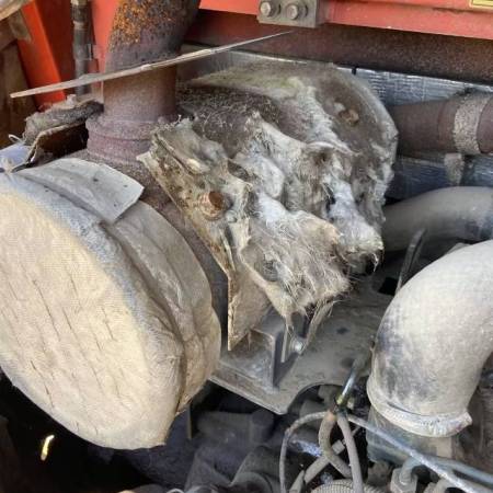 久保田KX-183履带式挖掘机