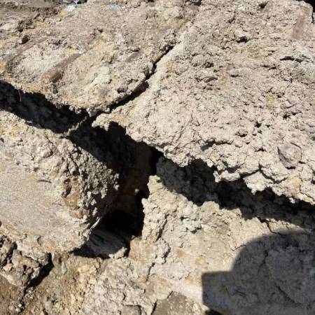 卡特彼勒320C履带式挖掘机