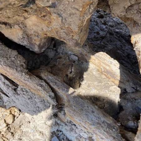 卡特彼勒320C履带式挖掘机