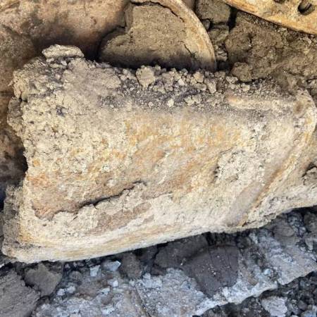 卡特彼勒320C履带式挖掘机