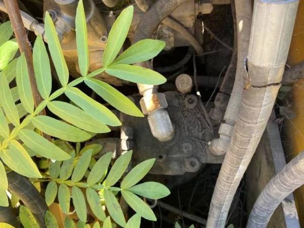 山重建機JCM913B履帶式挖掘機