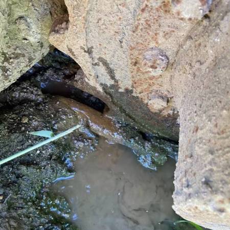 山重建机JCM913B履带式挖掘机