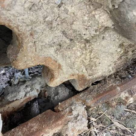 雷沃重工FR65履带式挖掘机