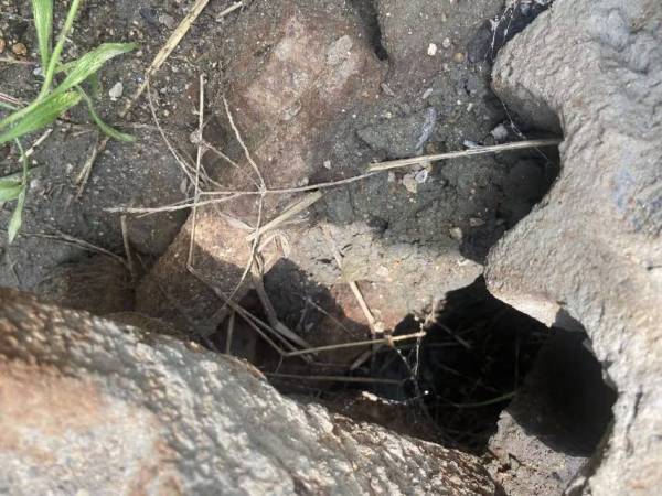 雷沃重工FR65履帶式挖掘機(jī)