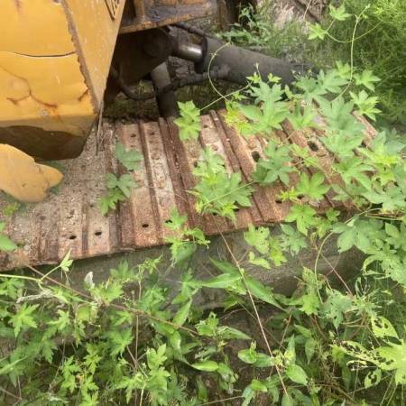 雷沃重工FR65履带式挖掘机