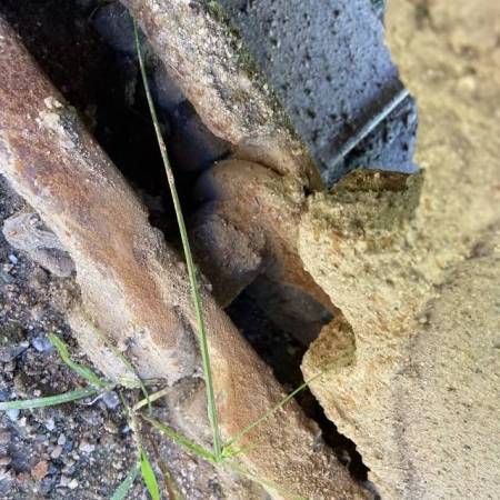 山东力士LS80履带式挖掘机