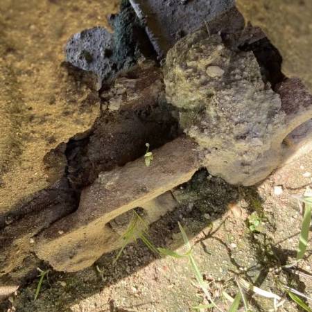 山东力士LS80履带式挖掘机