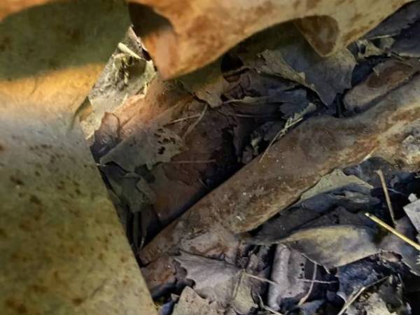 沃得重工W260-7履帶式挖掘機