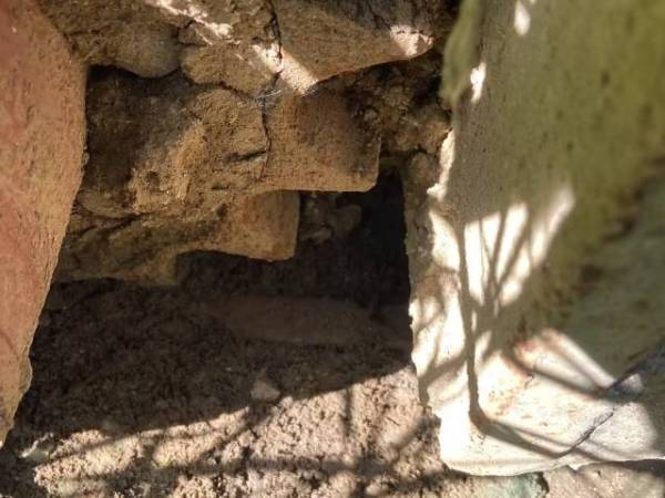 日立ZX65USB-3F履帶式挖掘機