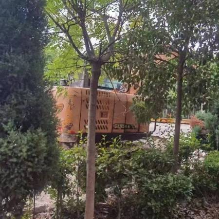 三一重工SY95C履带式挖掘机