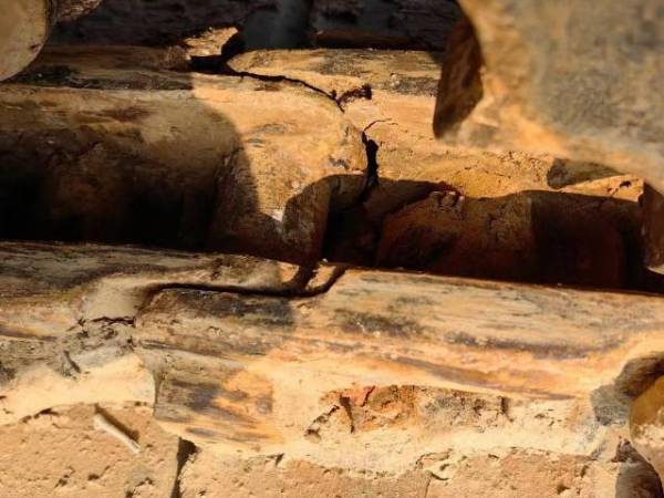 雷沃重工FR60履帶式挖掘機(jī)