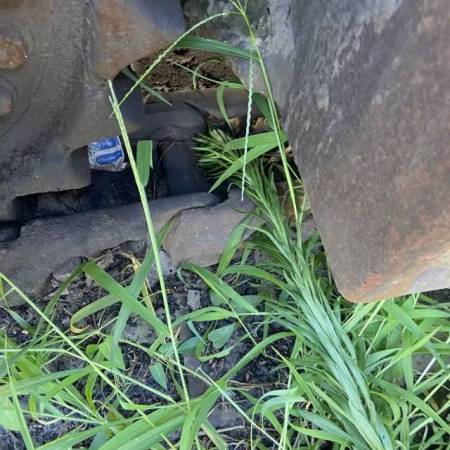 雷沃重工FR360-7履带式挖掘机