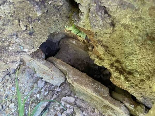 小松PC60履帶式挖掘機(jī)