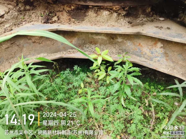 徐工XE230C履帶式挖掘機(jī)