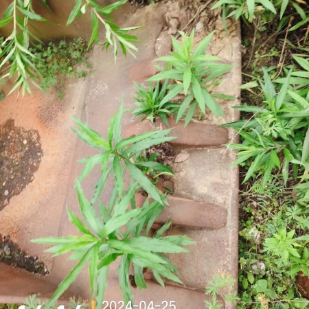 徐工XE230C履带式挖掘机