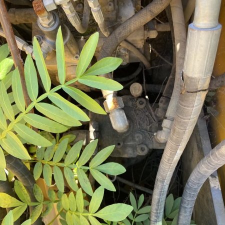 山重建机JCM913A履带式挖掘机