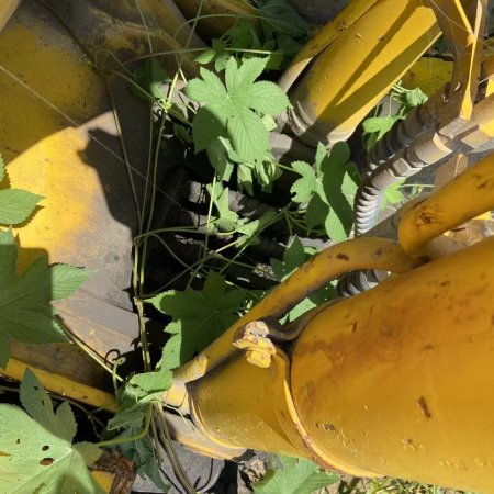 玉柴YC135-8履带式挖掘机