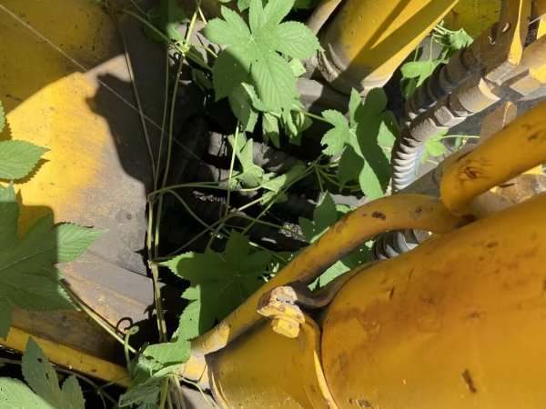 玉柴YC135-8履帶式挖掘機(jī)