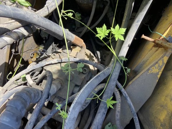 玉柴YC135-8履帶式挖掘機(jī)