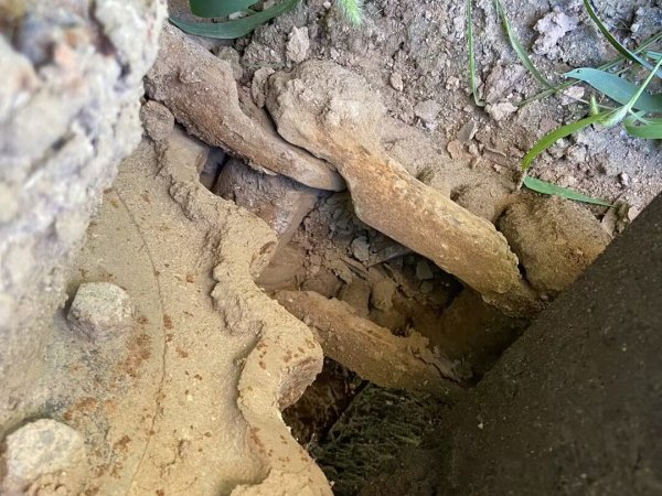 玉柴YC135-8履帶式挖掘機(jī)