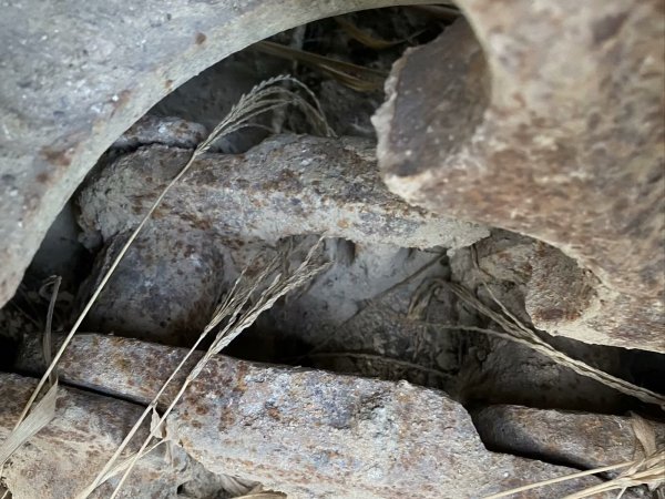 雷沃重工FR60-7履帶式挖掘機