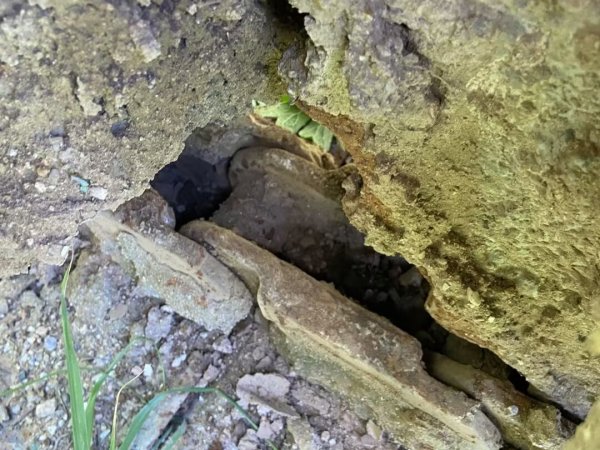 小松PC60-7履帶式挖掘機(jī)