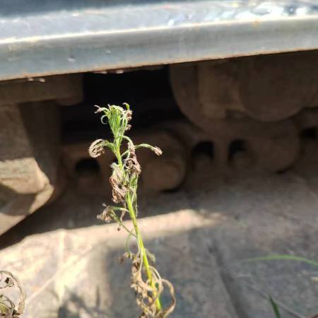 徐工XR220D旋挖钻机