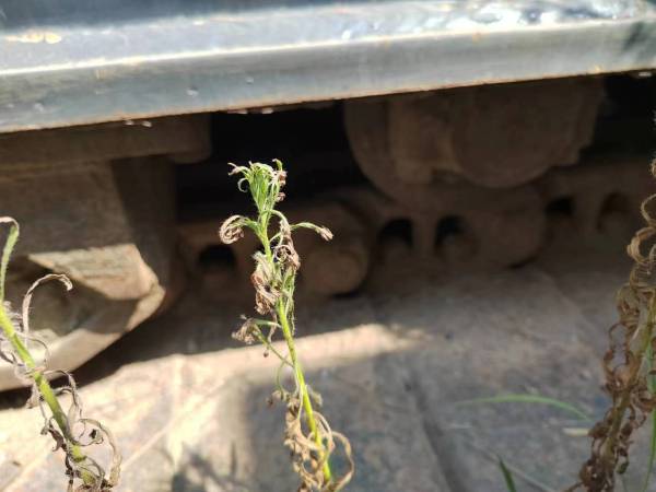 徐工XR220D旋挖鉆機(jī)