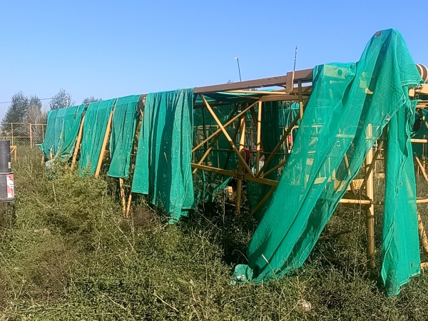 徐工XGT6015A-8S塔式起重機